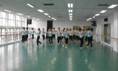 河北保定市河北大學藝術學院舞蹈地板