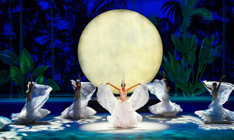 北京國家大劇院舞臺地板 北京國家大劇院舞臺地板