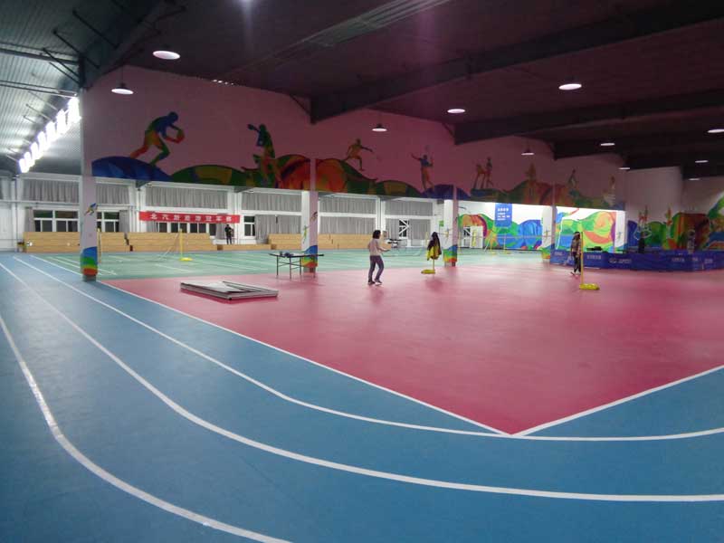 個性化pvc運動地板打印機打開新市場